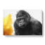 Silverback Gorilla With Golden Flash - Wrapped Canvas Painting-55318349