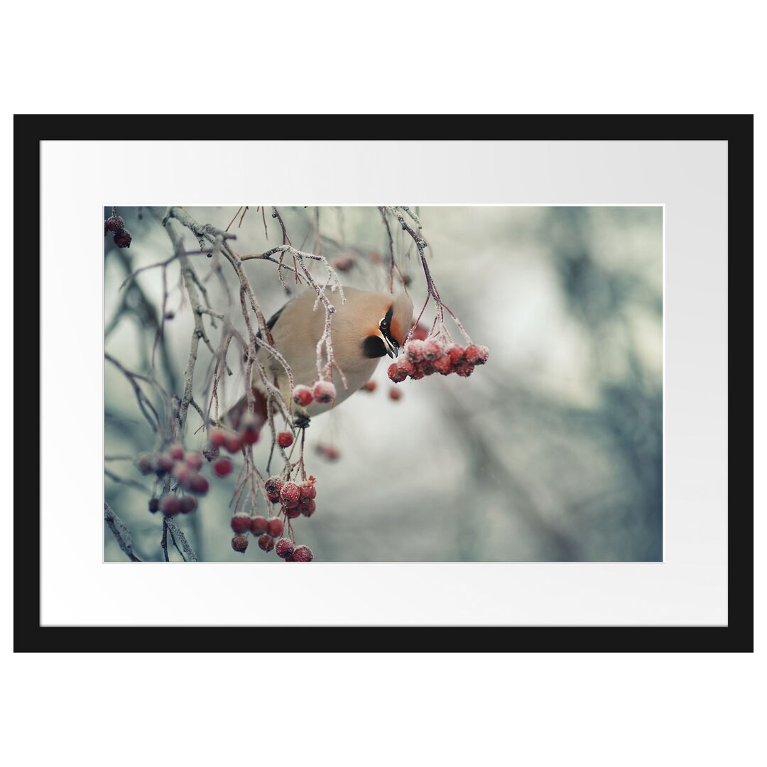 Gerahmtes Poster Kleiner Vogel im Vogelbeerbaum