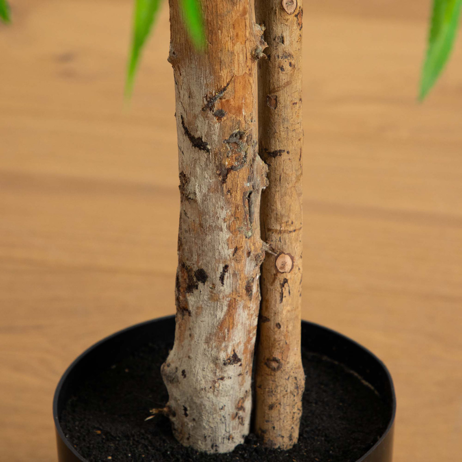 Willow Tree in Nursery Pot, 48" H x 32" W x 32" D