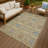 Machine Washable Indoor/Outdoor Chantille ACN2440 Traditional Rug-320625420-320625423