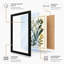 Specimens Study Botanical - Framed Print-826809864-826809868