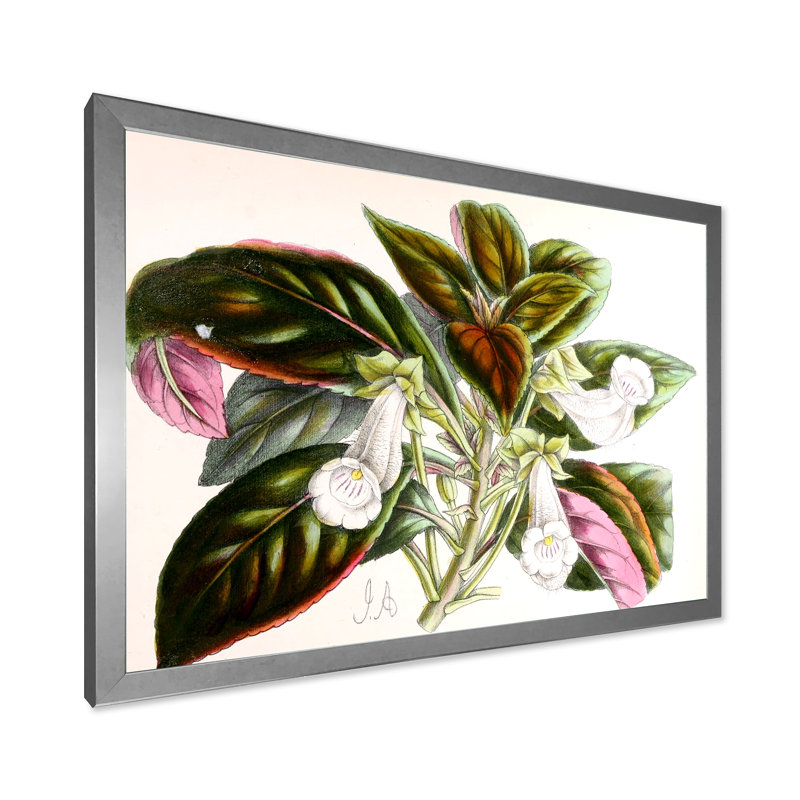 «Vintage Blossoming Flower V», peinture sur toile, H 16 po x l 32 po x p 1 po, Cadre photo argenté