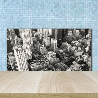 Zuria Black and White - New York Bird Flight 1 Piece Wall Art on Glass
