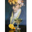 La Rochere 7 Oz Chicago Cocktail Glass, Set Of 6