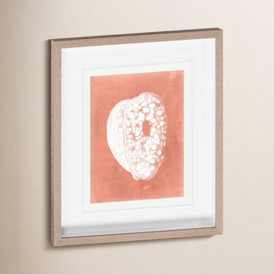 Sealife on Coral III Print by Vision Studio