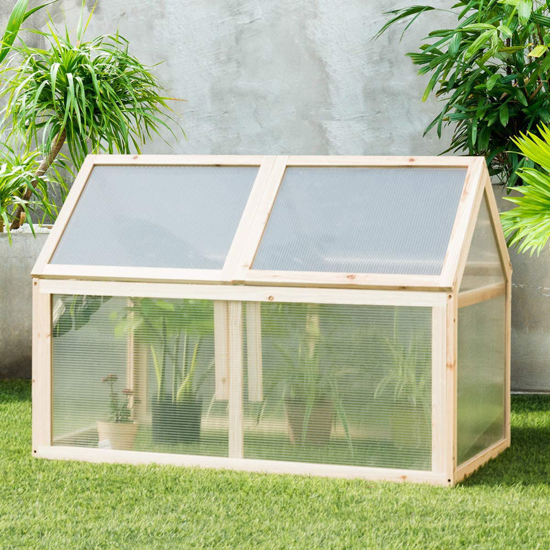 Walburg 3 Ft W x 2 Ft D Mini Greenhouse