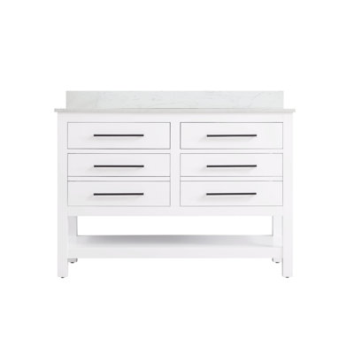 48 inch Single Bathroom Vanity_Modern_VF60548-BS