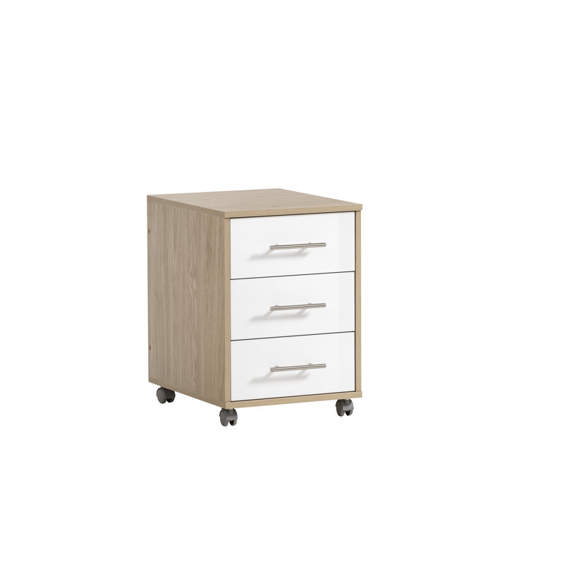 Lourdes 40.1cm Wide 3 -Drawer Mobile File Cabinet