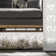 Makenna Performance Solid Shag Light Gray/Beige/Ivory Rug