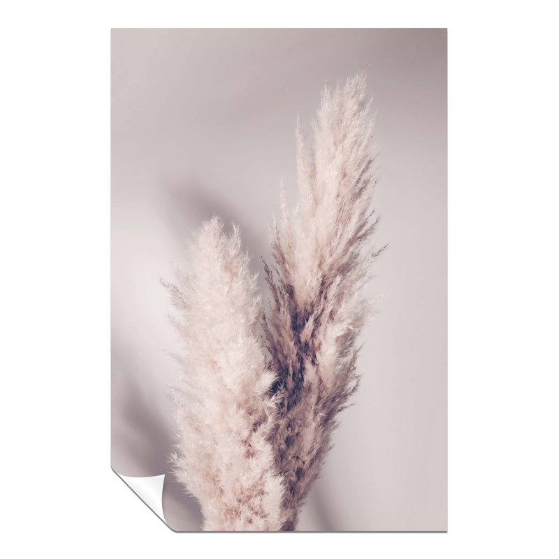 Dried Pampas Grass And Its Shadow - No Frame Print, 31cm H x 20cm W