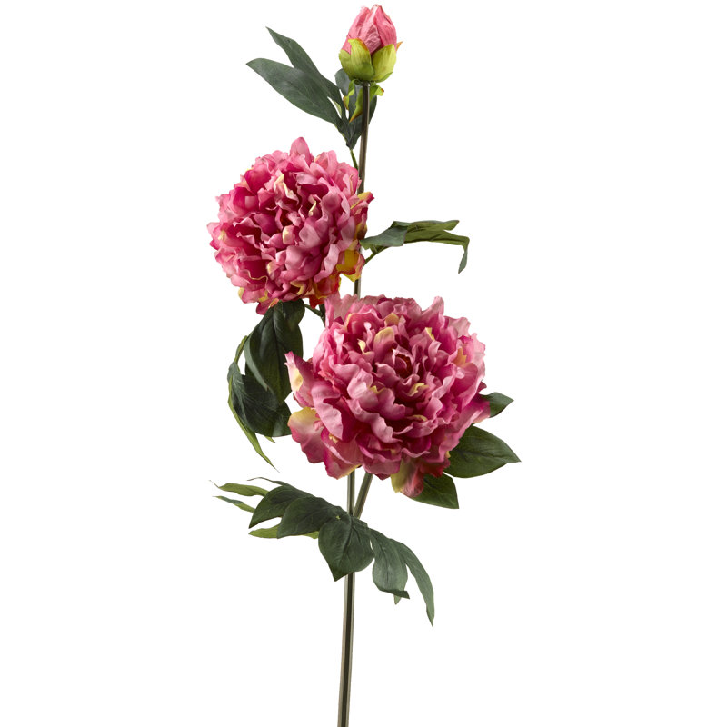 Peony Arrangement