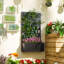 Metal Raised Garden Bed with Trellis