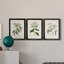 Antique Turpin Botanical VII - Ensemble de 3 peintures sur toile encadrées-1789316823-1789316826