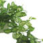 Ochoa Faux Syngonium Plant in Ceramic Vase