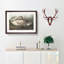 A Trumpeter Swan by John Audubon - Single Picture Frame Painting-55457586-55457587