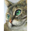 Portrait de chat paisible - Toile encadrée pour les amoureux des chats