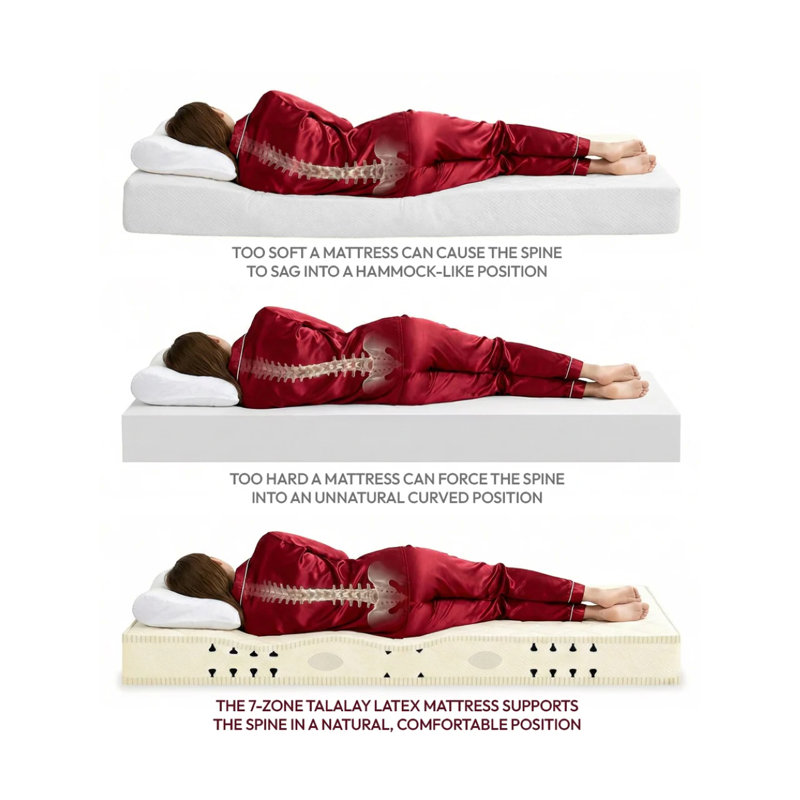 Premier Natural 11.5'' Plush Latex Mattress and Box Spring Set, Queen