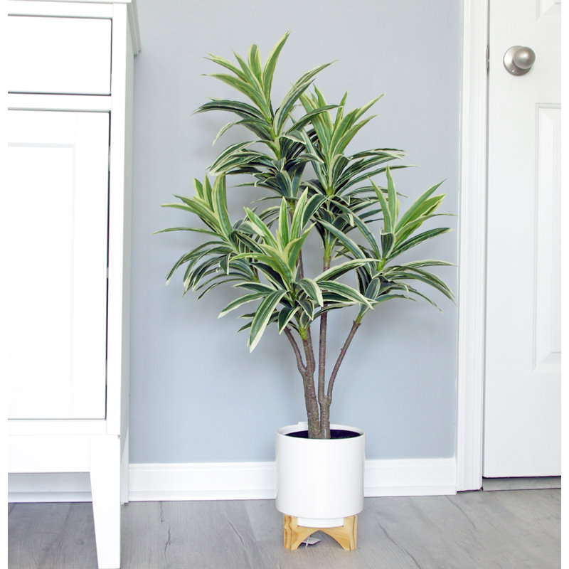 Keil Faux Dracaena Tree in Pot, 34" H x 22" W x 22" D