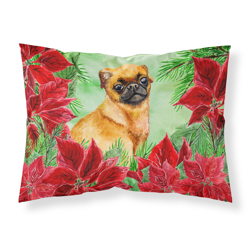 Taie d’oreiller poinsettas, Petit Griffon de Brabant