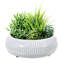 Pot Planter