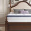 22cm  and 25cm Medium Feeling Pocket Sprung & Memory Foam Hybrid Mattress for Cool Comfort and Lasting Support-735350670-735350656