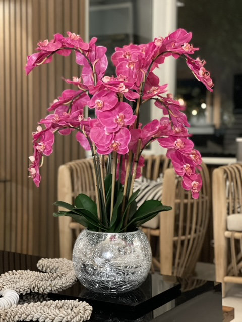 Phalaenopsis Orchids Centerpiece in Vase