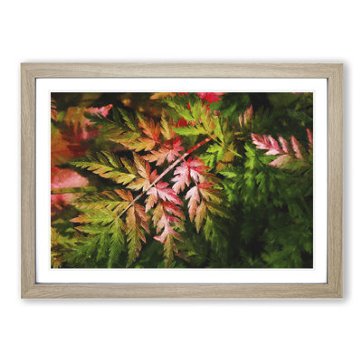 Fern Leaves Vol.2 - Framed Print