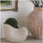 8.5x5.5x6.3" Sand and Cement Nautilus Shell Planter with Textured Beige Finish