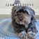 Damell Braided Non-Shedding Reversible Jute Blue Rug