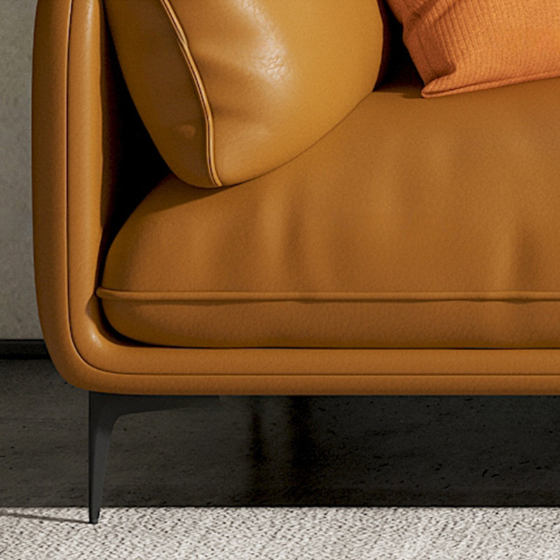 American minimalist sofa