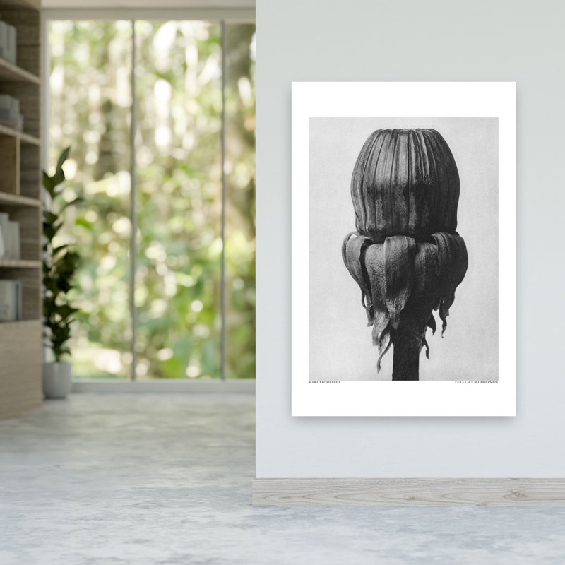 Taraxacum, plante rétro, reproduction d'art rétro, plante murale, 60" H x 40" W