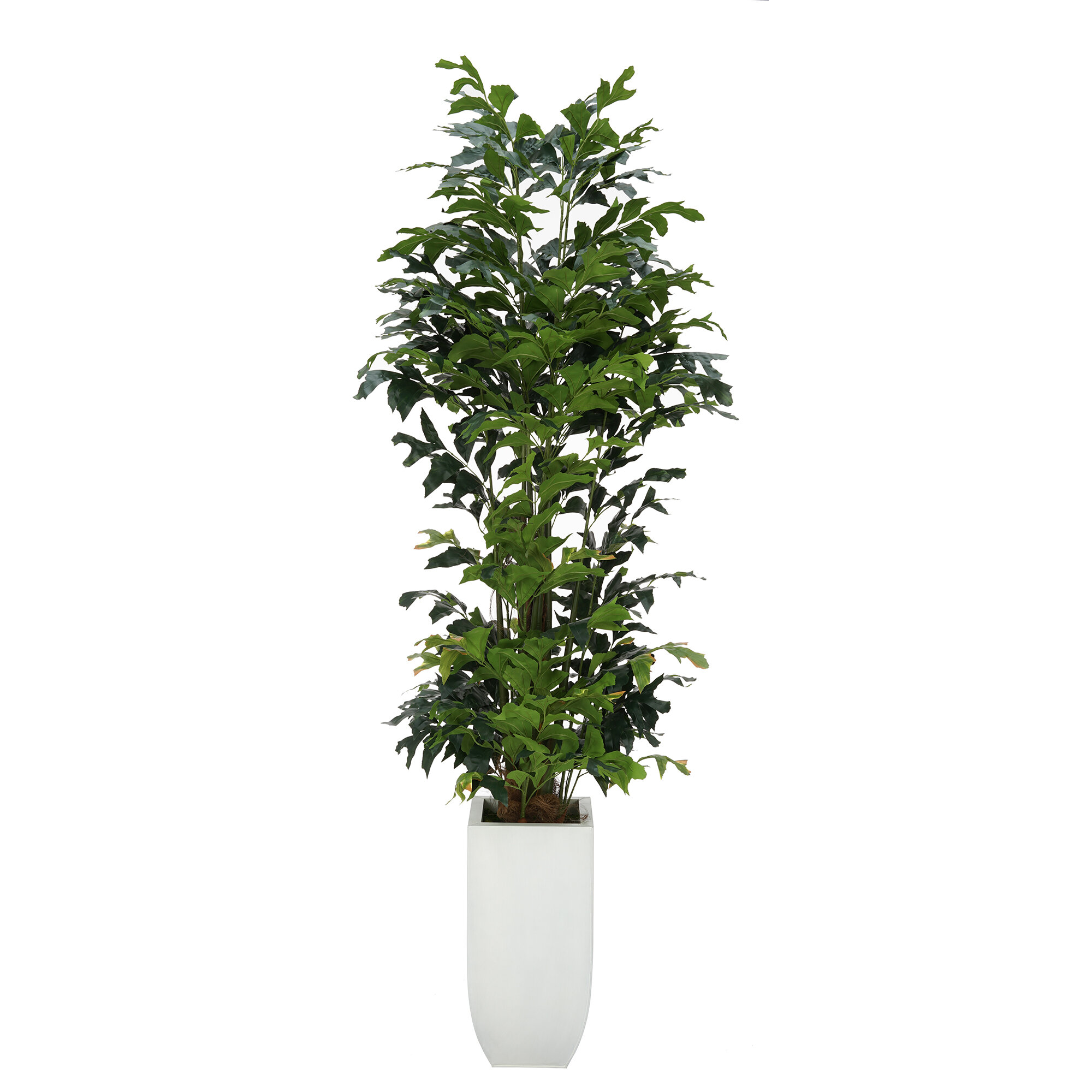 Primrue 72'' Artificial Palm Tree in Planter | Wayfair