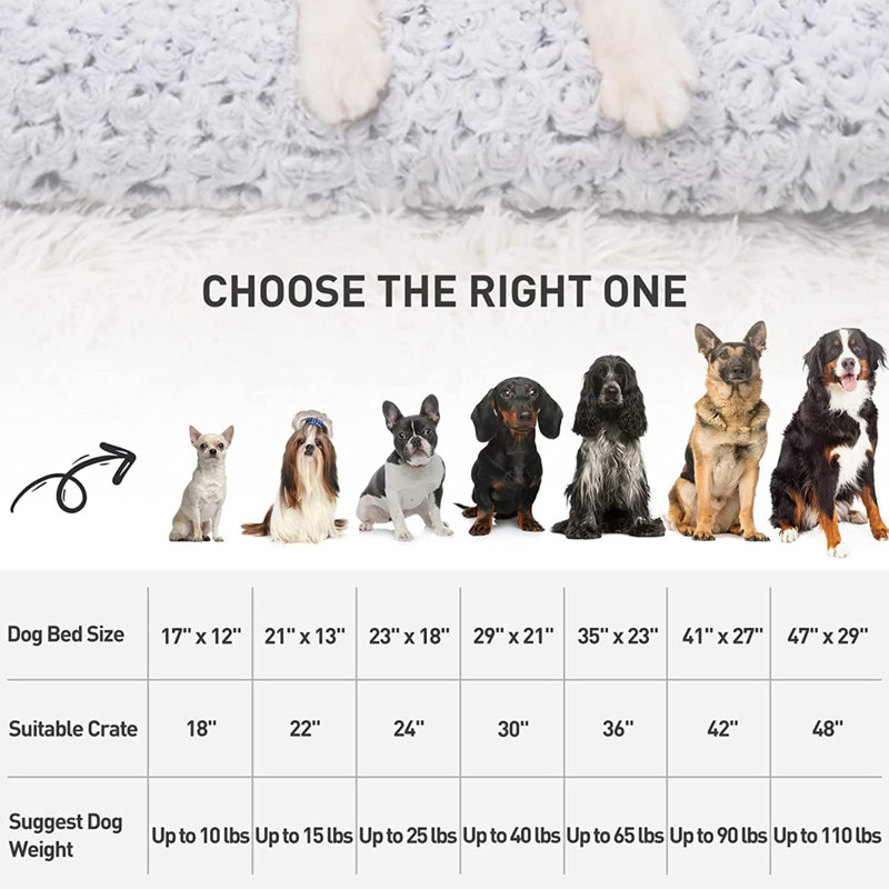 Gray Orthopedic Extra Large Plush Dog Bed
