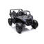 Voiture Dune Buggy-62260393