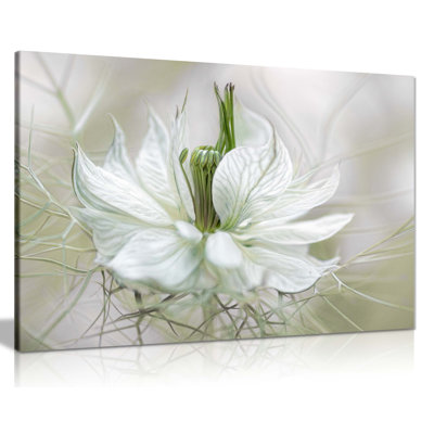 Nigella - Wrapped Canvas Print