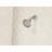 Attune 5-Function Adjustable Shower Head-94408324