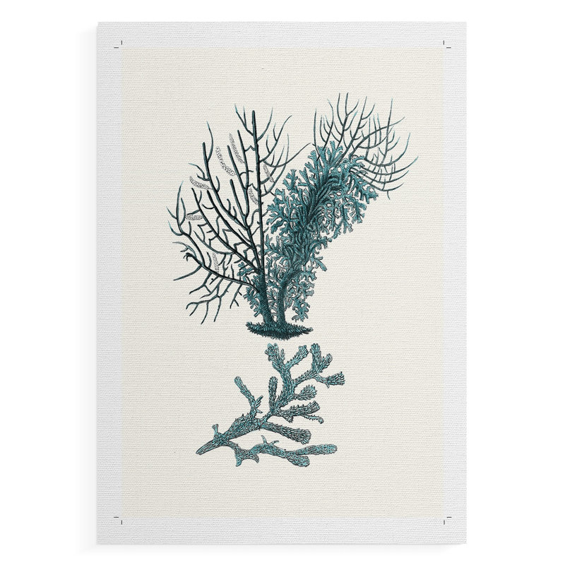 Corail antique VI - reproduction de toile seulement - non encadrée, H 12 po x l 8 po