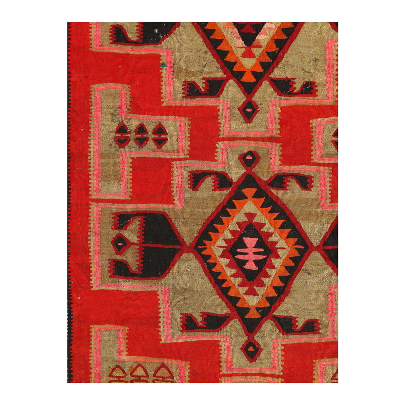 Southwestern Area Rug in Red