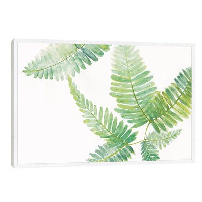 Ferns II by Chris Paschke - Floater Frame Painting on Canvas