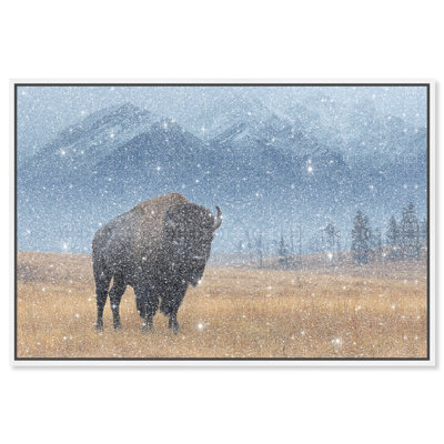 Mountain Bison I Print by Oliver Gal