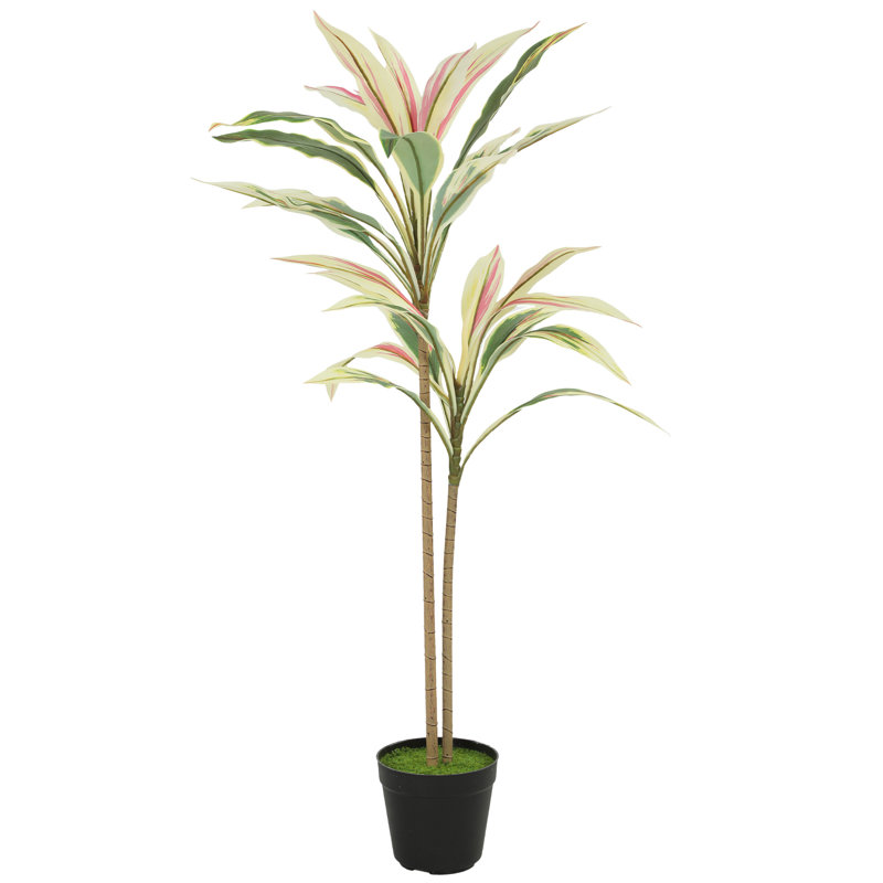 90cm Plant