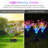 4 Color Solar Powered Flower Lights Pathway Lamp-98495879