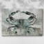 Toile tendue neutre crabe neutre II-Gallery-1223612356