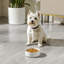 Hexagon Embossed Pattern Anti-skid Stoneware Dog Bowl-116384244