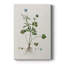 Buttercup Study -Custom Wrapped Gallery Cavas-117868015