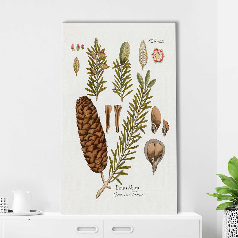Sapin botanique par Kelly Donovan - Peinture, L 18 po x H 30 po, Toile tendue