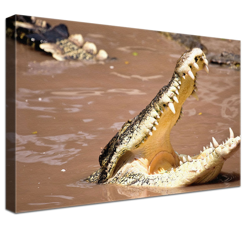 Print on Canvas, 100cm H x 150cm W x 4cm D
