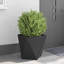Planter Box-1334459777-1334459779