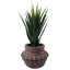 Cachepot