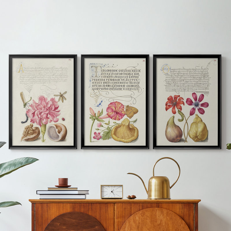 Hoefnagel Tropical Specples VI - Toile tendue avec châssis sur mesure - 3 pièces, Noir, H 21 po x l 30 po